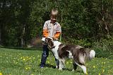 ENFANT ET CHIEN 275